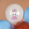 Шар (12''/30 см) Плюшевые эльфы, Милые друзья, Ассорти, пастель - в магазине «ШарикClub»