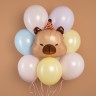 Шар (24''/61 см) Фигура, Капибара в колпачке - в магазине «ШарикClub»