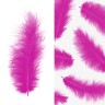 Перья, Премиум, Фуше, 12-15 см, 30 шт. - в магазине «ШарикClub»