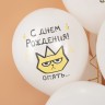 Шар (12''/30 см) С Днем Рождения! (рыжий котик), Белый, пастель, 1 ст - в магазине «ШарикClub»