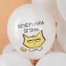Шар (12''/30 см) С Днем Рождения! (рыжий котик), Белый, пастель, 1 ст - в магазине «ШарикClub»