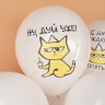 Шар (12''/30 см) С Днем Рождения! (рыжий котик), Белый, пастель, 1 ст - в магазине «ШарикClub»